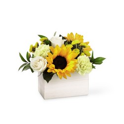 The FTD Sweet as Lemonade Bouquet From Rogue River Florist, Grant's Pass Flower Delivery